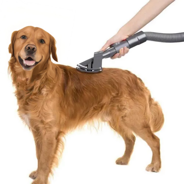 Pet Vacuum Grooming Brush